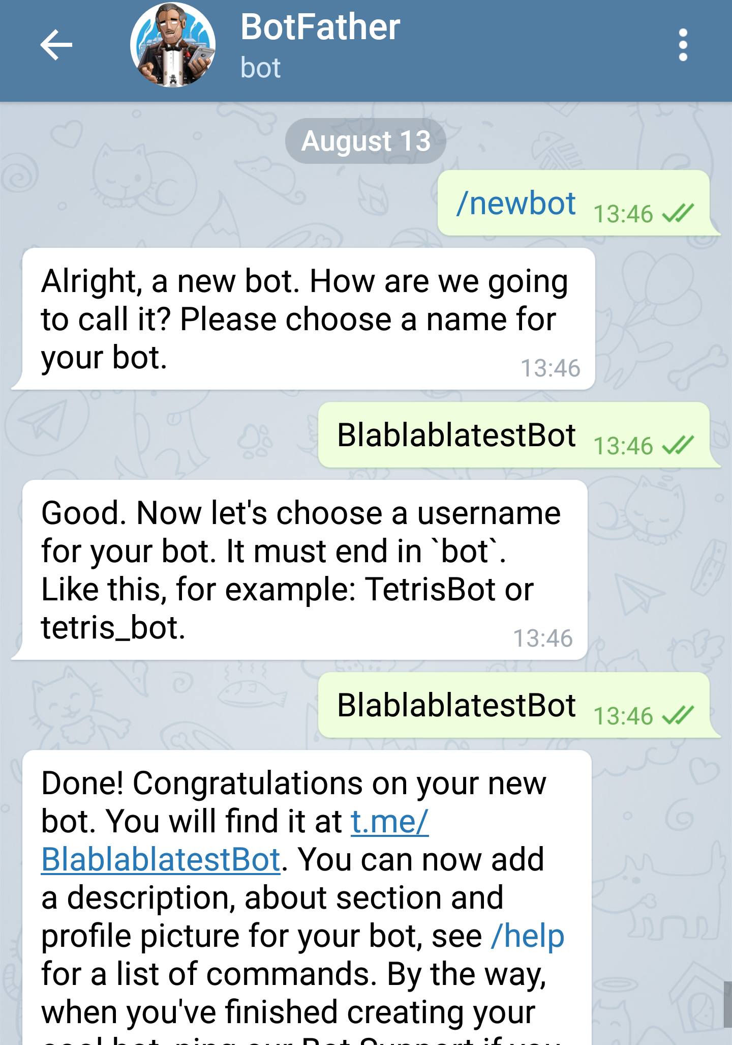 Setting a new bot