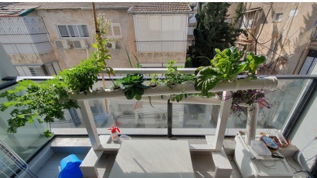 My hydroponics system today, 5 months later